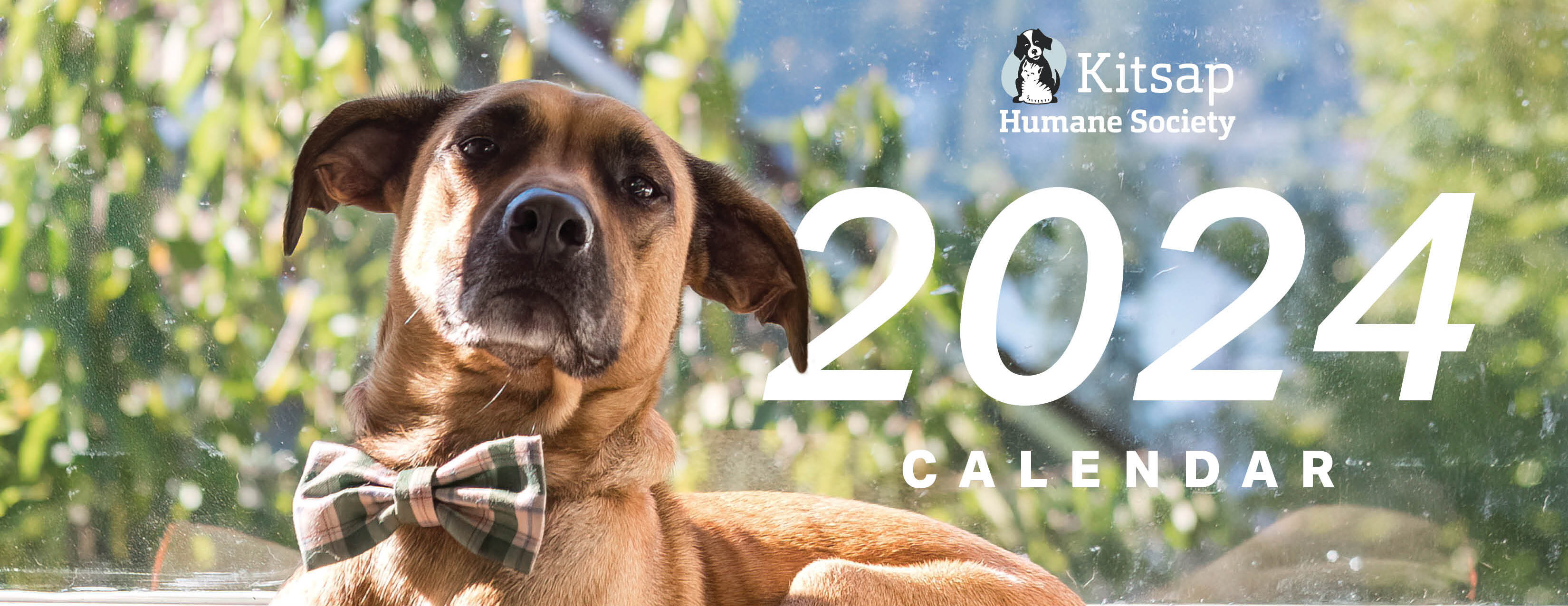 2024 Aspca Calendar Order - Eadie Gusella